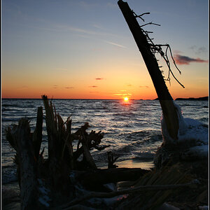 Driftwood Sunset