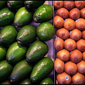photo12-Avocados and Kiwi Fruit