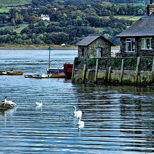 Yet another harbour, Conway, North Wales