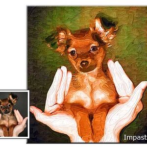 Pet portrait painting in Impasto