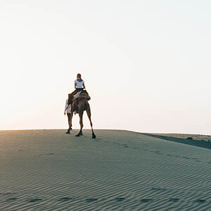 Camel Trekker the Greenhorn