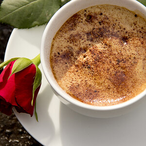 Coffee with Rose Closeup
