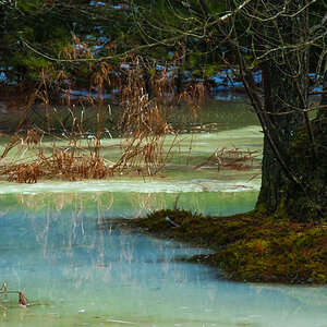 Blue and Green Ice Swamp #4 (D1H)