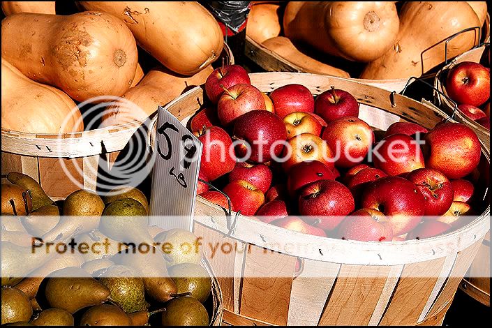 apples1.jpg